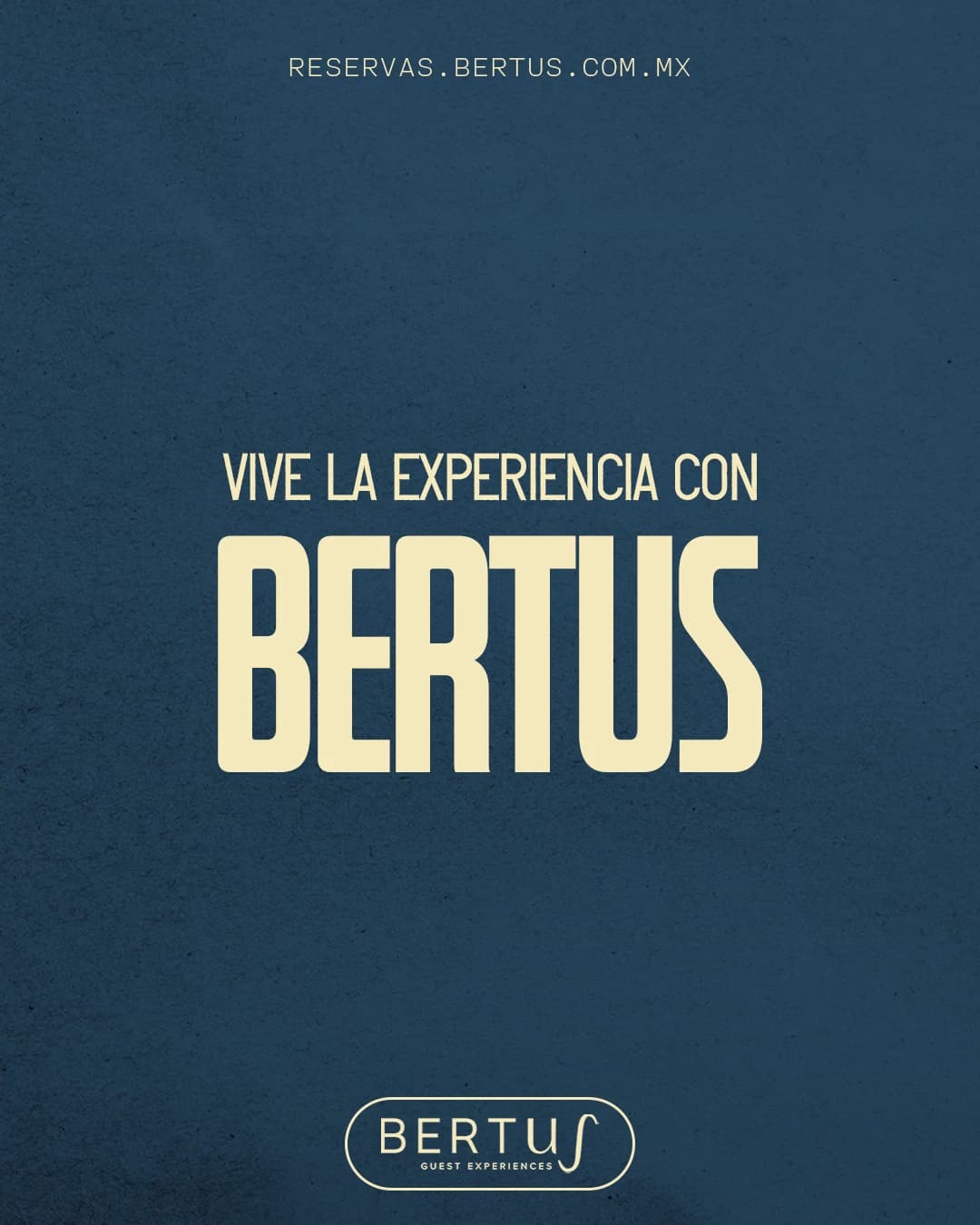 Bertus Experiencias Campeche - Gestión de redes sociales