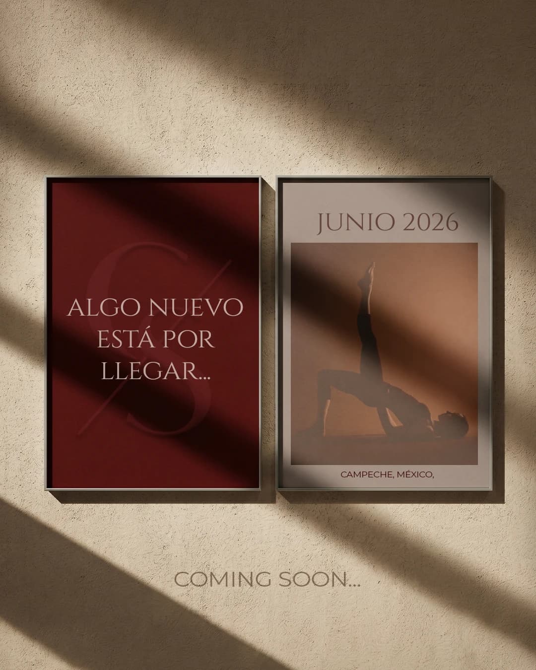 Casa Scarlatta - Campaña de arranque y Gestión de Redes Sociales - Imagen 1